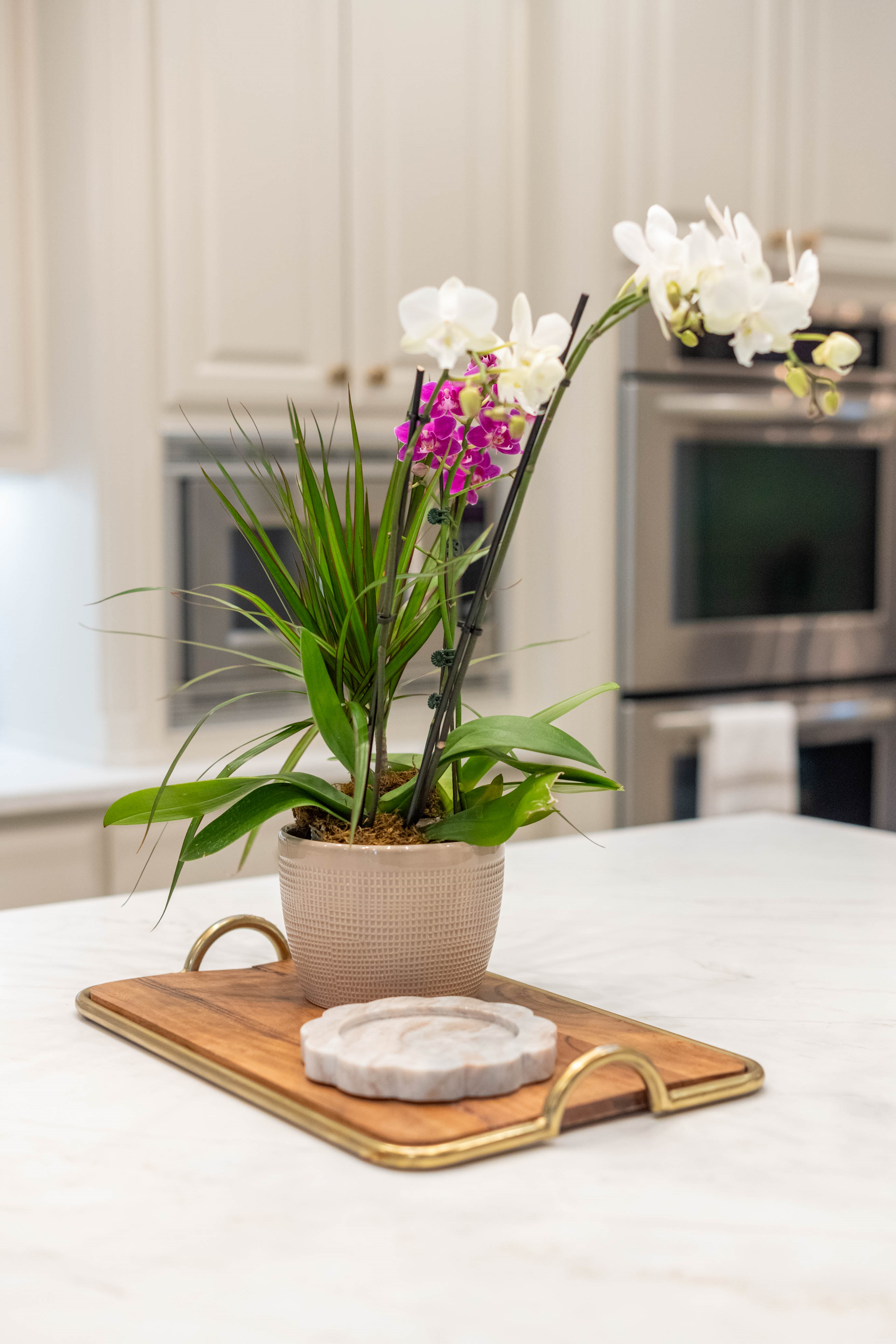 Interior design project by Savvy Designs by Vanessa